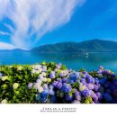 비커밍풀빌라 이미지