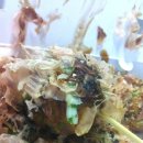 증미역 2번출구 앞 이미지