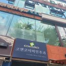 코앤코이비인후과 분당점 수내 방문 후기 리뷰 영업시간 주차 위치