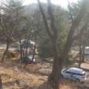 장자골 농장 네이버블로그