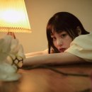 얼루어컴퍼니