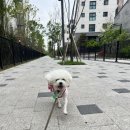 일품양평해장국 화성방교점