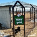 여왕의 놀이터