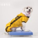 기운찬 동물병원 이미지