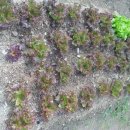 우애농장 이미지