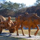 워낭소리 이미지