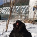 만세동농장 이미지