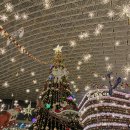 오후 | 서울 코엑스 2025 별마당 도서관 트리 평일 오후 방문 후기