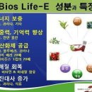 이에너지 이미지