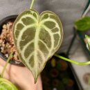 내단농장 이미지