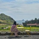 서귀동 189-6 | [여행 기록] 제주도 3박 4일 세 번째 이야기