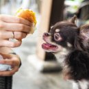 365 마음동물병원 이미지