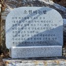 소원행정사사무소 이미지