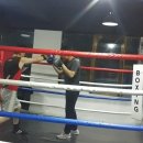 와룡복싱 이미지