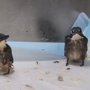 전라남도야생동물구조관리센터 이미지