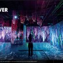 아르떼뮤지엄 이미지