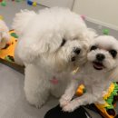 슬기유치원 이미지