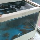 울진가자미 맞은편 이미지