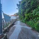 해금강낙원 이미지