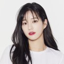 와이블 이미지