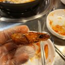 남양주 마석 맛집 왕새우직판장 마석직영점 새우의 모든 것