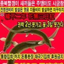 청와대 종북빨갱이 주뎅이는 시궁창 김태우검찰수사관 그 미꾸라지에 질식사한다 이미지