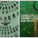 비단복권 이미지