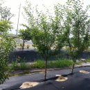 한울농원 이미지