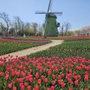 순천만쉼표 이미지