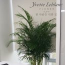 초이스화원