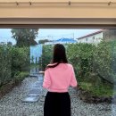 스테이빌레하임 이미지