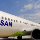 티엔에스(TNS) 이미지