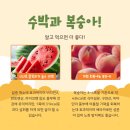 베르나르의원 이미지