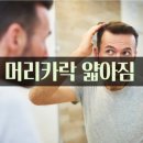 헤어리뉴 네이버블로그