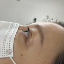 J뷰티샵 - 관악구 | [경기광주 속눈썹] "인생 속눈썹 찾았다!" 원뷰티 LED 속눈썹 연장 J컬 후기 (feat. 유지력 & 만족도 대박)