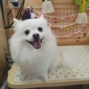 이쁘개(내포신도시점) 이미지