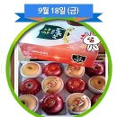 경북 의성 토종마늘 정보화마을 네이버블로그