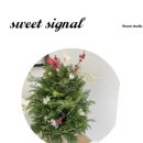 사림동106 이미지