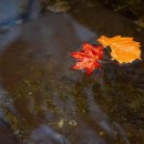 명동한의원 이미지