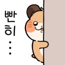 진댄스아카데미 이미지