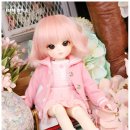 슈슈(chouchou) 이미지