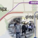요치 이미지