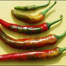 충남반점 이미지