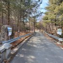 심원사 입구 이미지