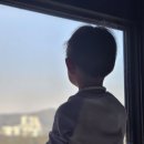 플랫101 | 부산 기장 숙소 추천 와이컬렉션 오시리아 아이랑(플랫스위트F) 후기