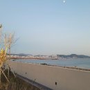 전주남문토종순대국(국제신도시점) 이미지