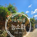 구소석길 | [공지] [양산시] 양산 유일 '능소화' 명소, <구소석마을>을 다녀왔어요(위치, 주차, 개화상황) 2026.06.28