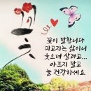 이쯤에서~ 이미지