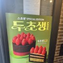 투썸플레이스원광대점 | 투썸 두초생 내돈내산 후기