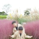 언니네해물손칼국수 이미지